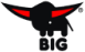 Big