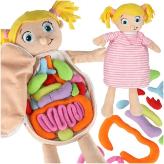 Maskot lelle, kas mācās anatomiju meitene