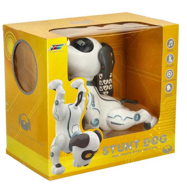 RC robots suns lec pastaigas