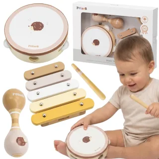 PolarB mūzikas instrumentu komplekts ar ezīti