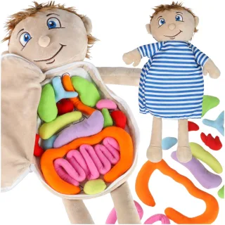 Maskot lelle, kas mācās anatomiju zēns