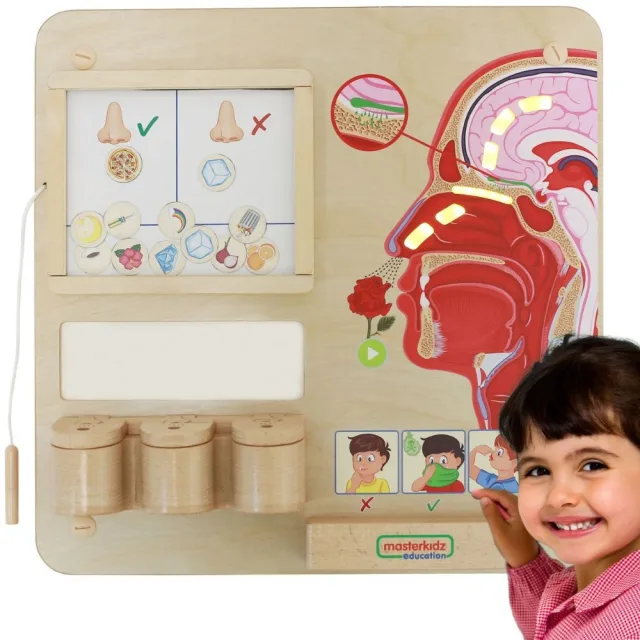Montessori izglītojošā tāfele — oža